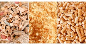pellet-production-021